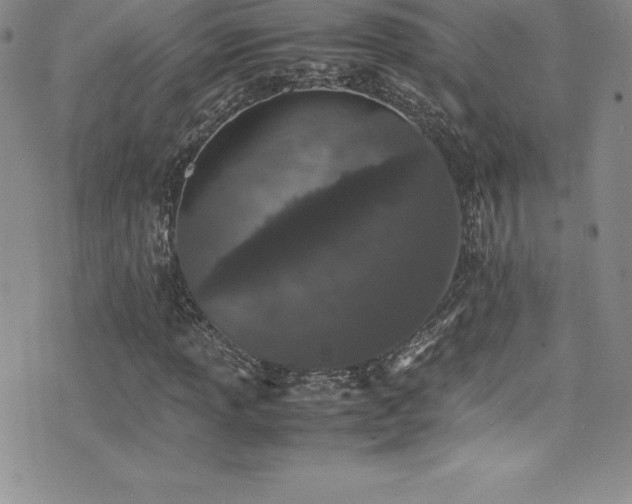 X0000077391013200610201412