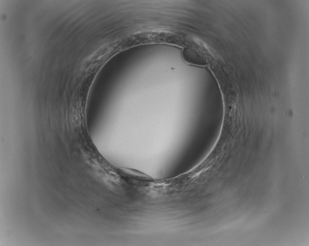 X0000077391014200610201412