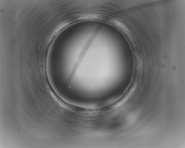 X0000077391041200610201412
