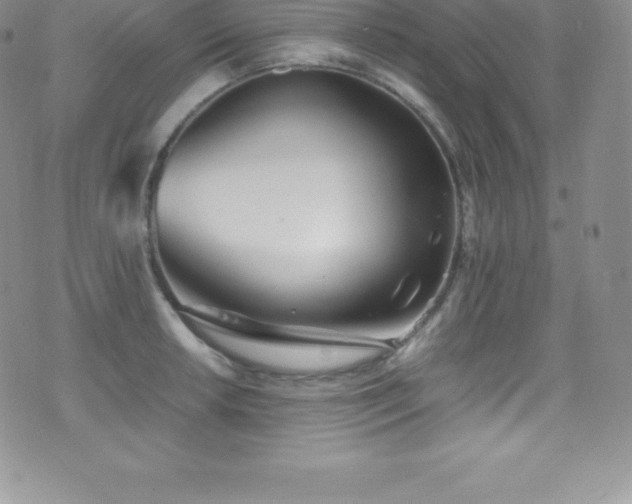 X0000077391042200610201413