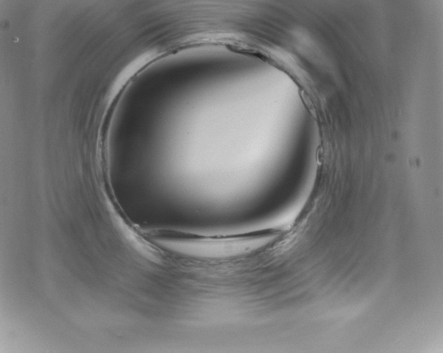 X0000077391050200610201413