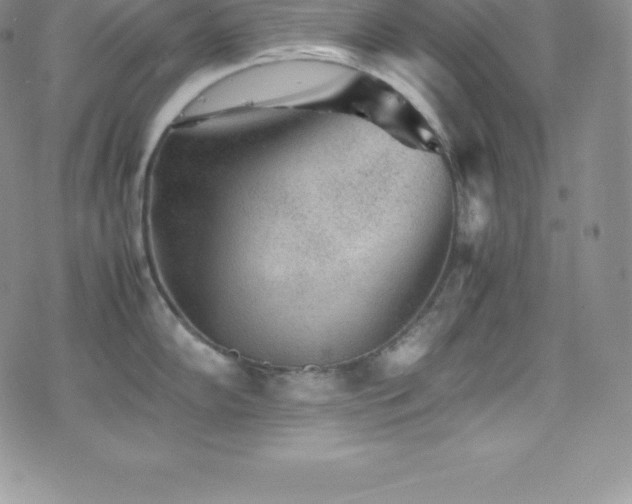 X0000077391102200610201411