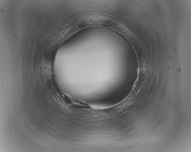 X0000077391108200610201410