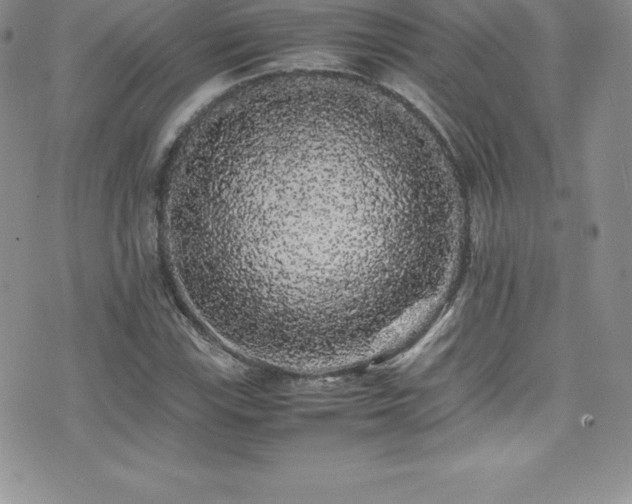 X0000077391115200610201411