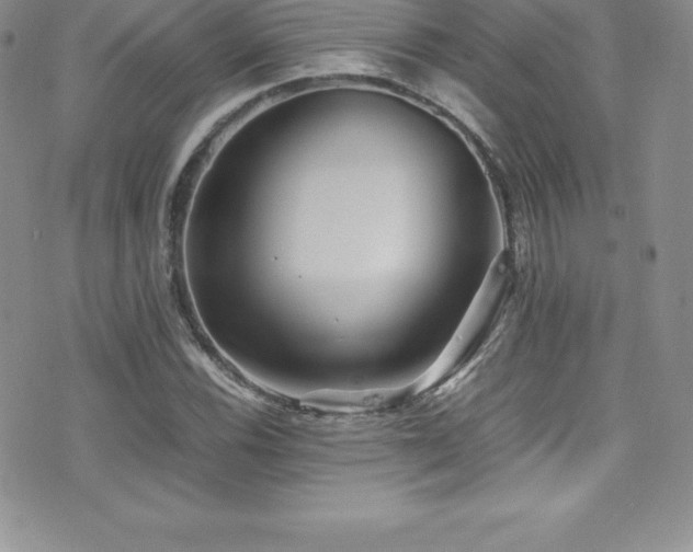 X0000077391116200610201411