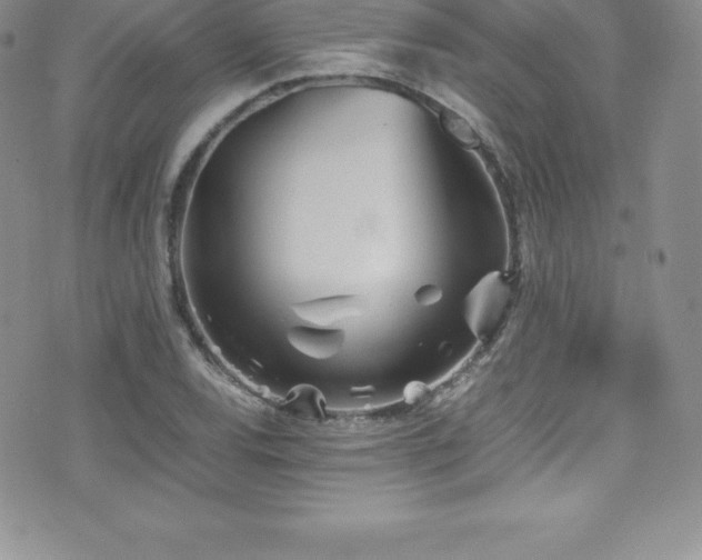 X0000077391120200610201411
