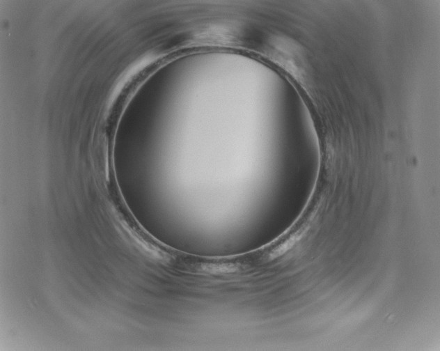 X0000077391123200610201411