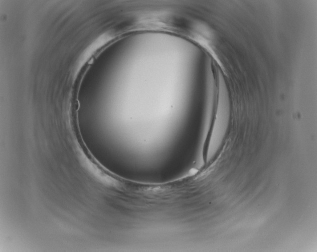 X0000077391139200610201411
