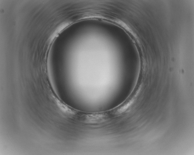 X0000077391145200610201411
