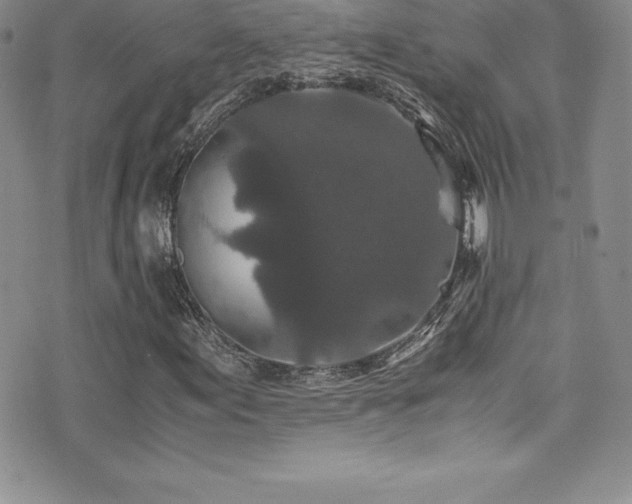 X0000077391155200610201410