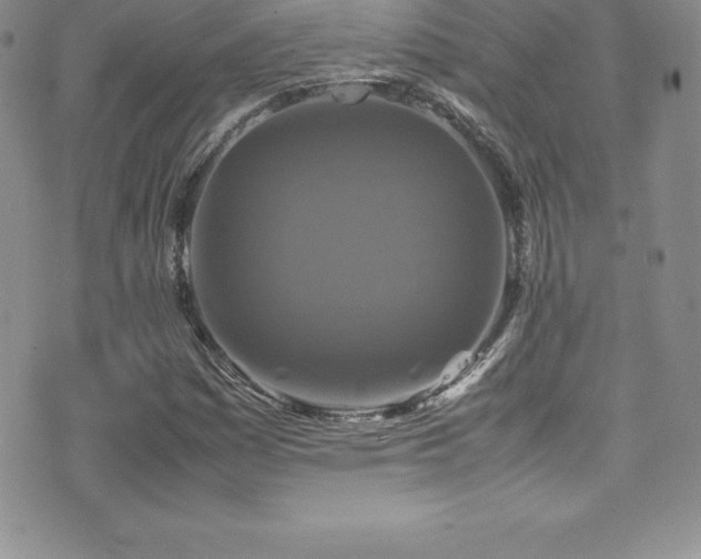 X0000077391161200610201410