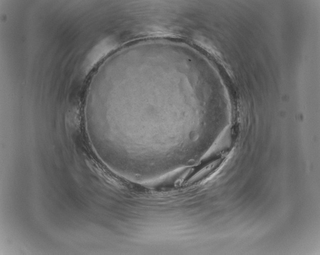 X0000077391163200610201410