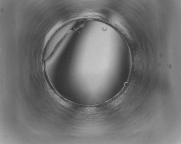 X0000077391180200610201410