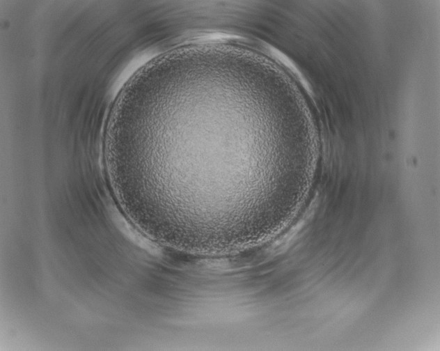 X0000077391194200610201410
