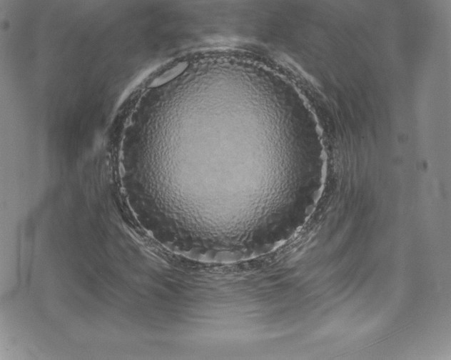 X0000077391208200610201409