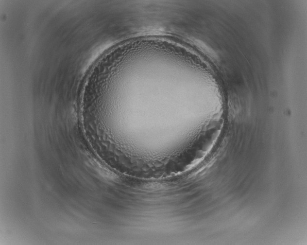 X0000077391212200610201409