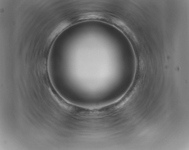 X0000077391233200610201409