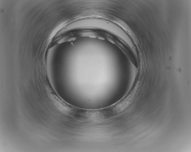 X0000077391242200610201410