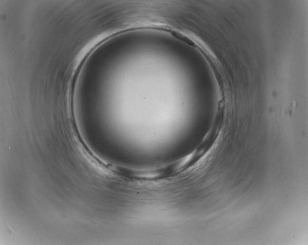 X0000077391246200610201410