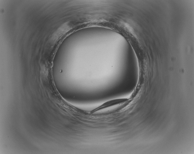 X0000077391257200610201409