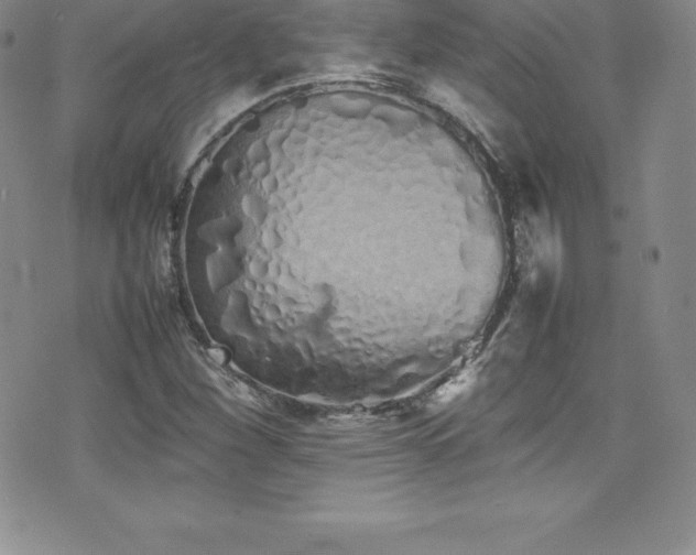 X0000077391260200610201409