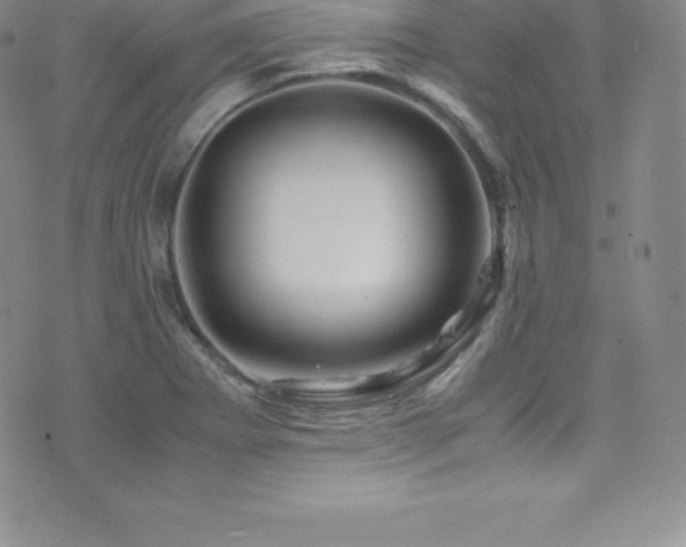 X0000077391273200610201408