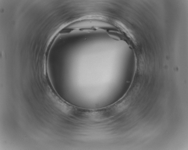 X0000077391276200610201408