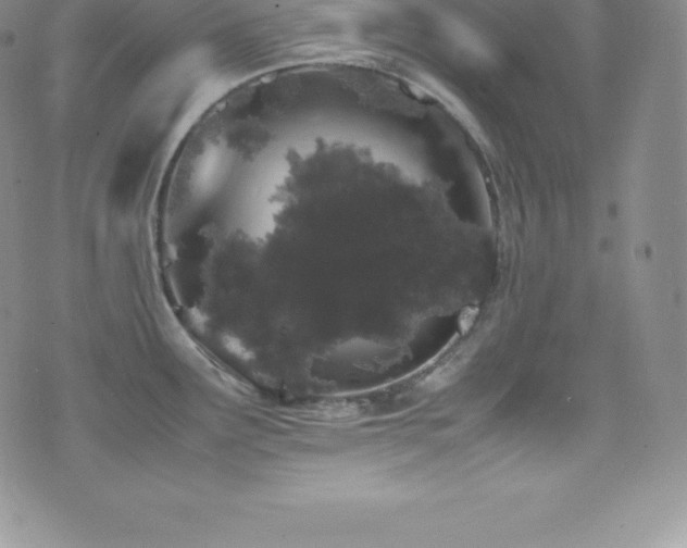 X0000077391291200610201408