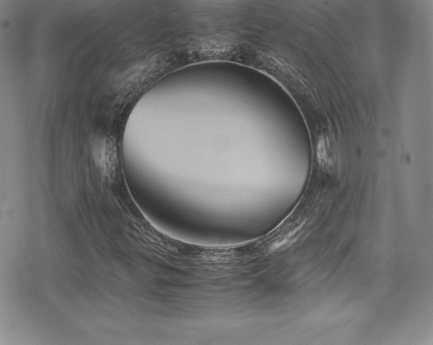 X0000077391299200610201407