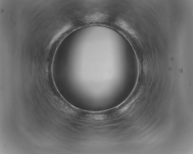 X0000077391309200610201407