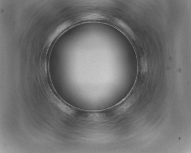 X0000077391322200610201408