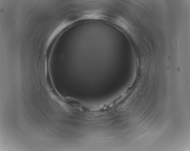 X0000077391323200610201408