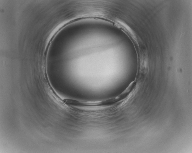 X0000077391340200610201408