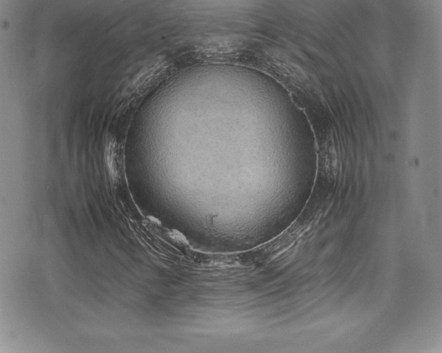 X0000077391346200610201407