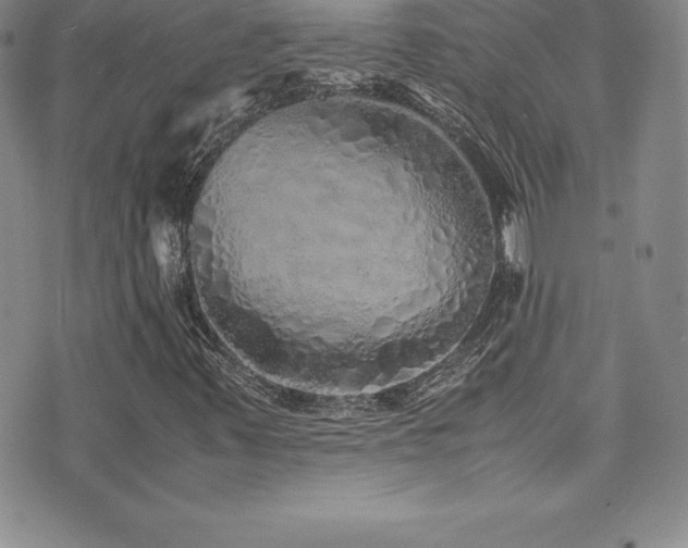 X0000077391347200610201407