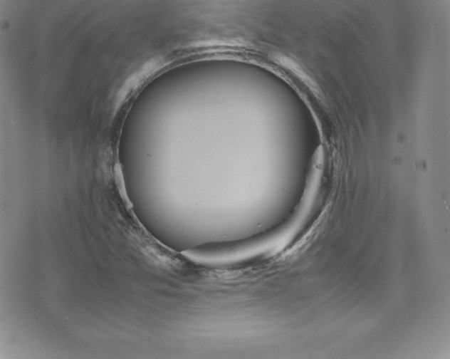 X0000077391357200610201407