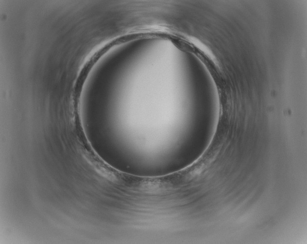 X0000077391364200610201407