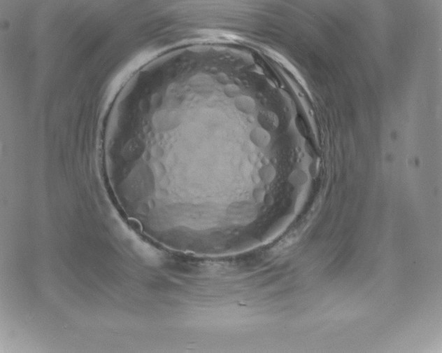 X0000077391379200610201407