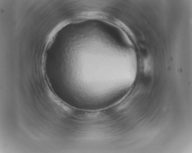 X0000077391386200610201407