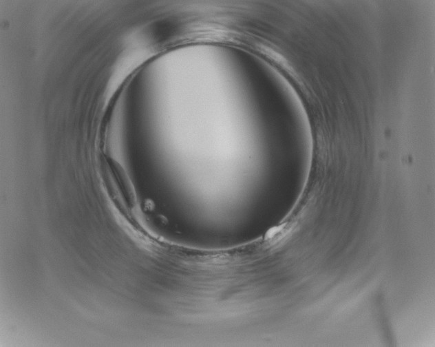 X0000077391426200610201406