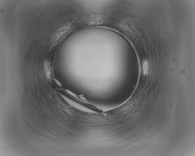X0000077391444200610201406