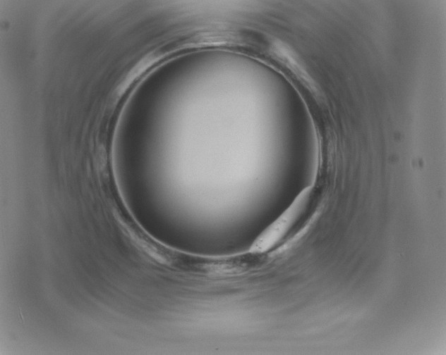 X0000077391465200610201405