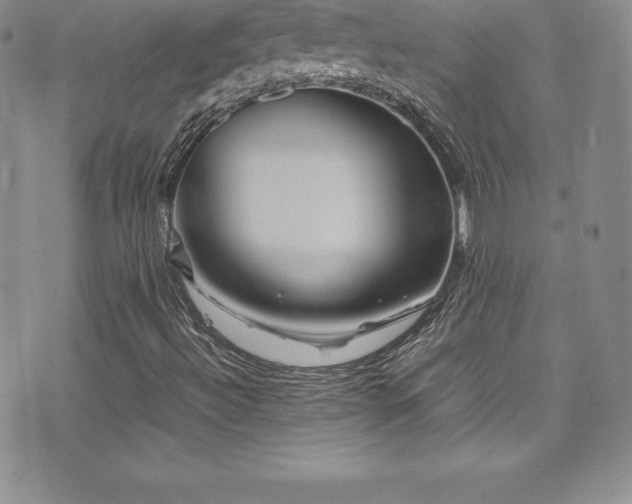 X0000077391492200610201404