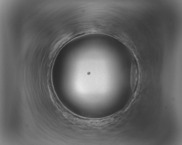 X0000077390001200610272025