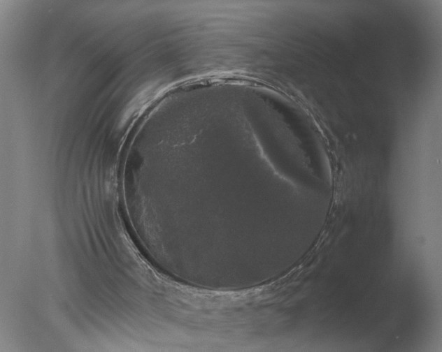 X0000077390002200610272025