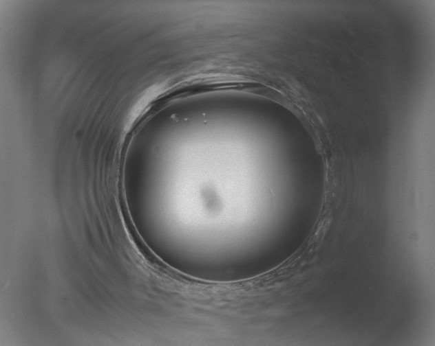 X0000077390003200610272025