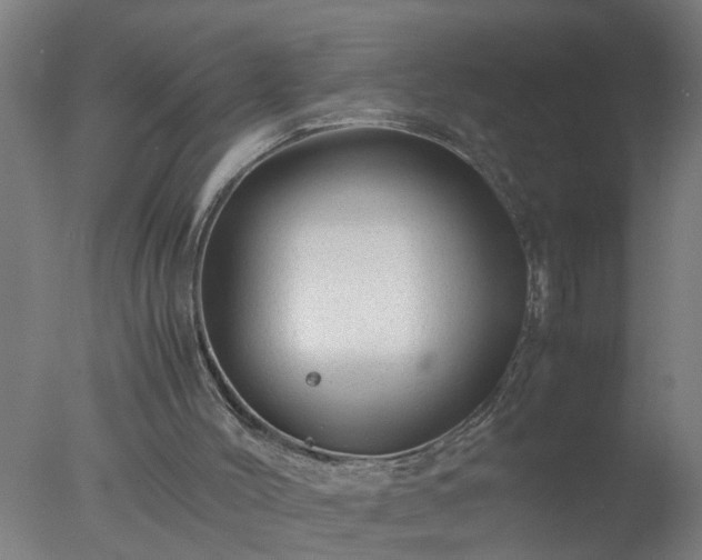 X0000077390004200610272025