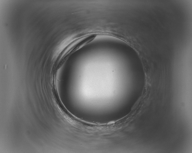 X0000077390005200610272025