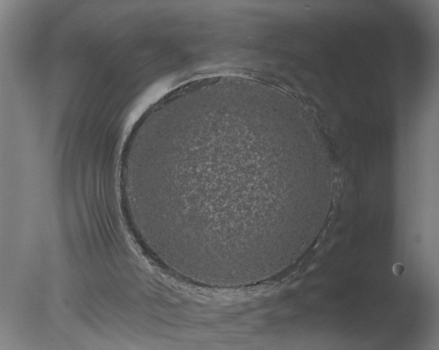 X0000077390006200610272025