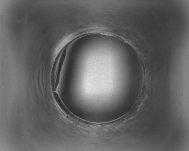 X0000077390007200610272025